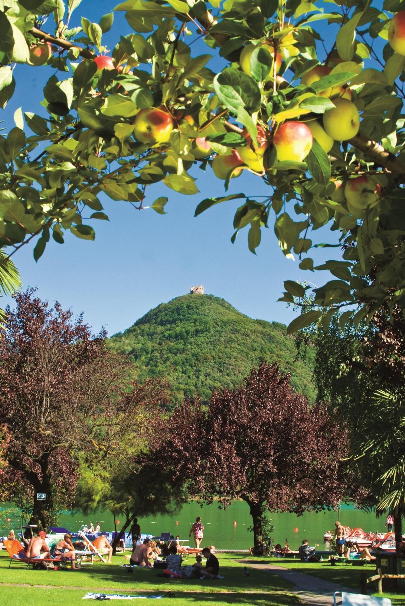 Seegarten Caldaro Exteriör bild